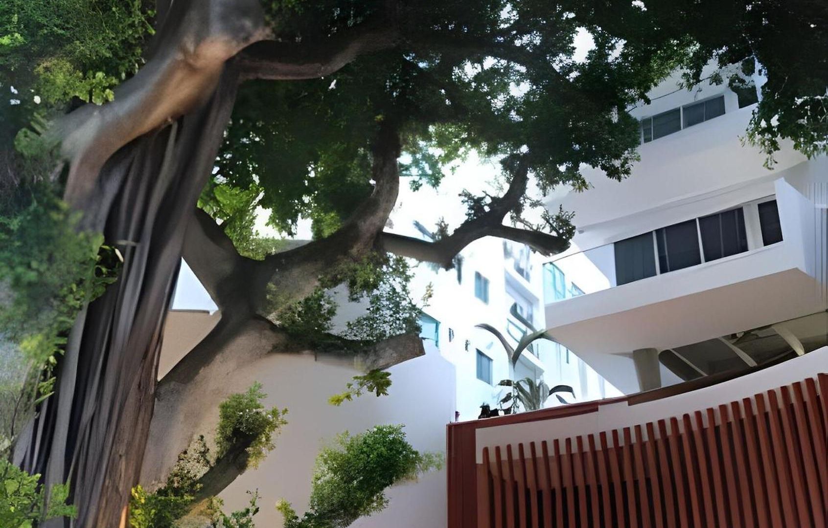 Apartamento 1 Cielo Mar. Jacuzzi Privado