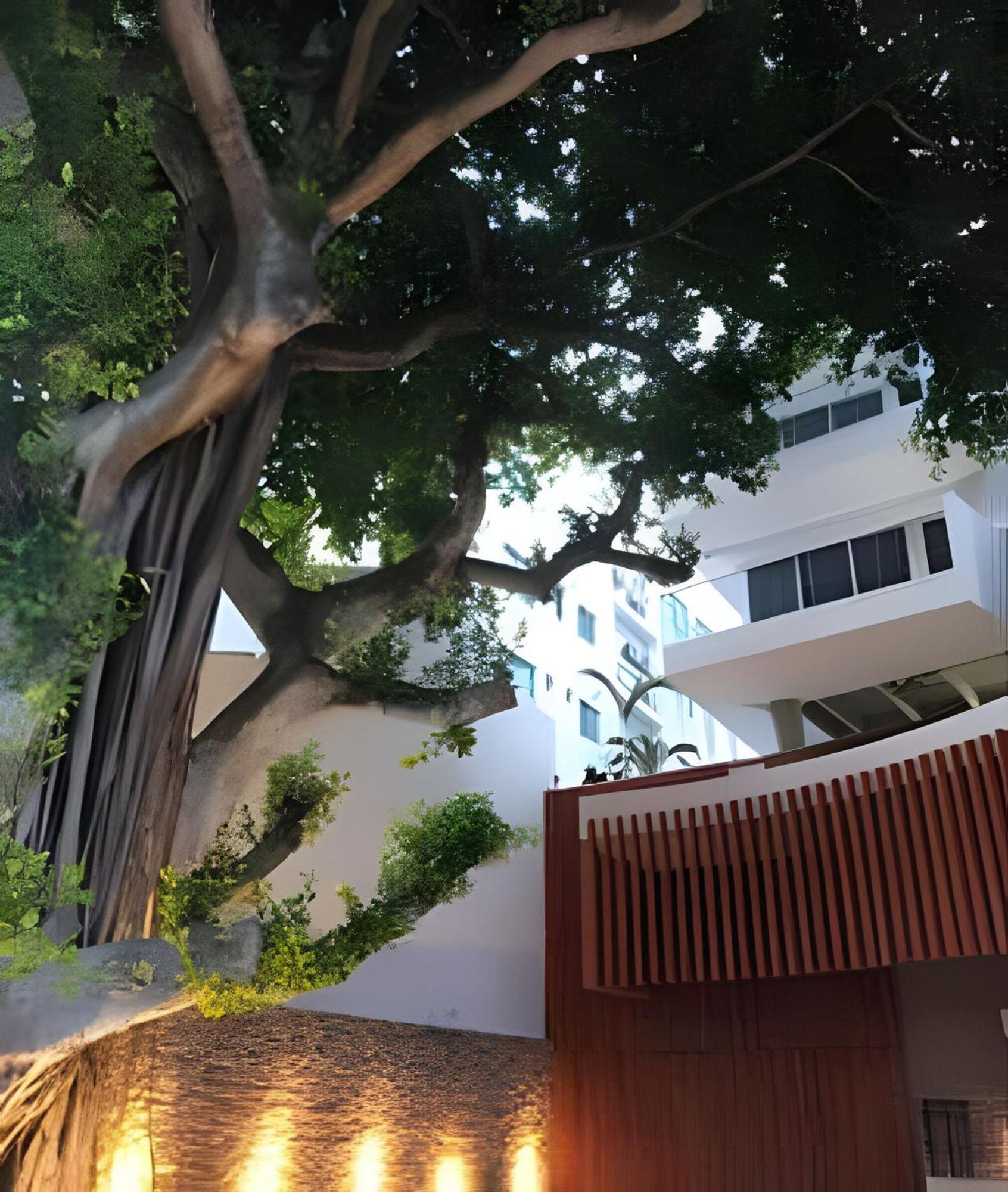 Apartamento 1 Cielo Mar. Jacuzzi Privado